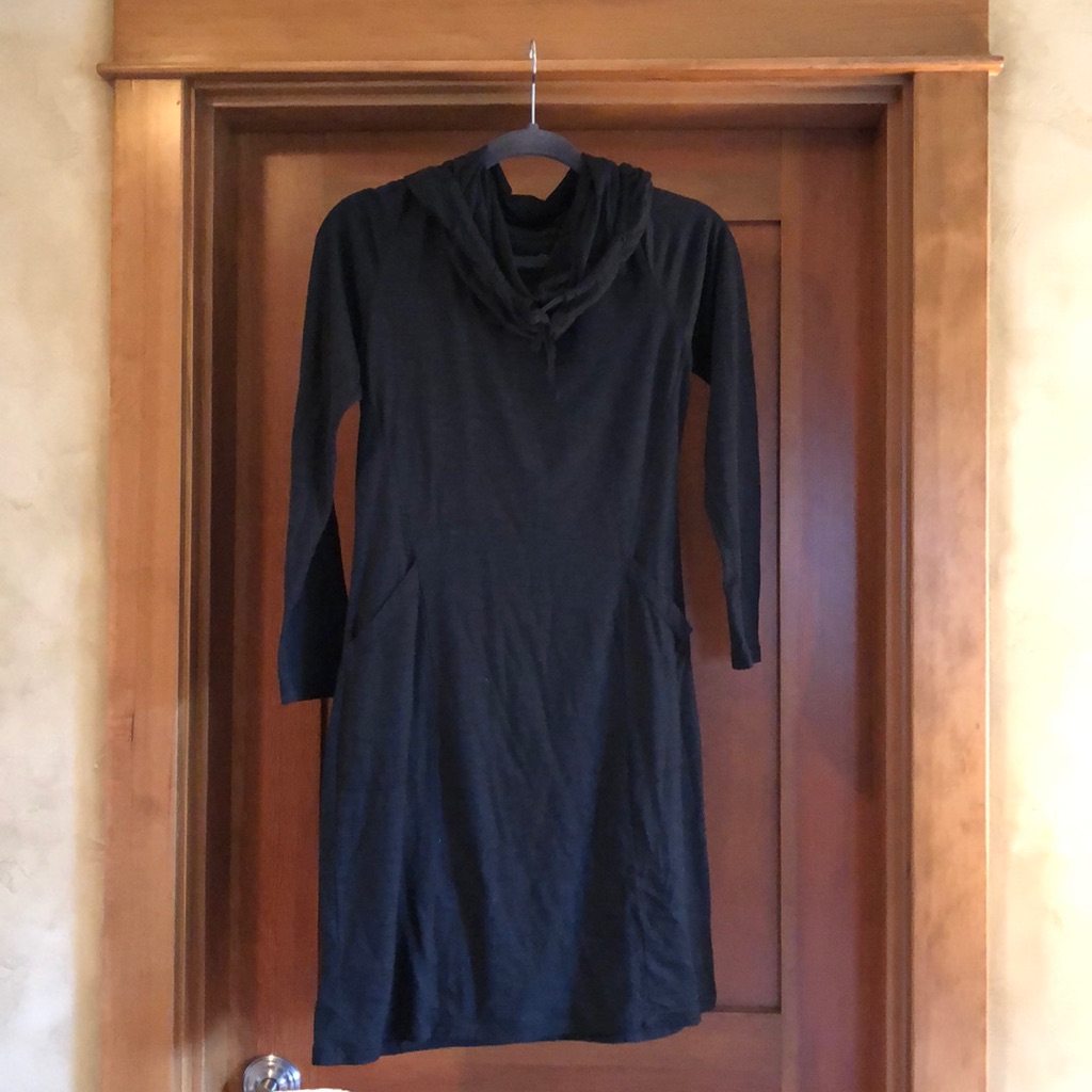 Nau Hoodie Cowl Neck Dress
